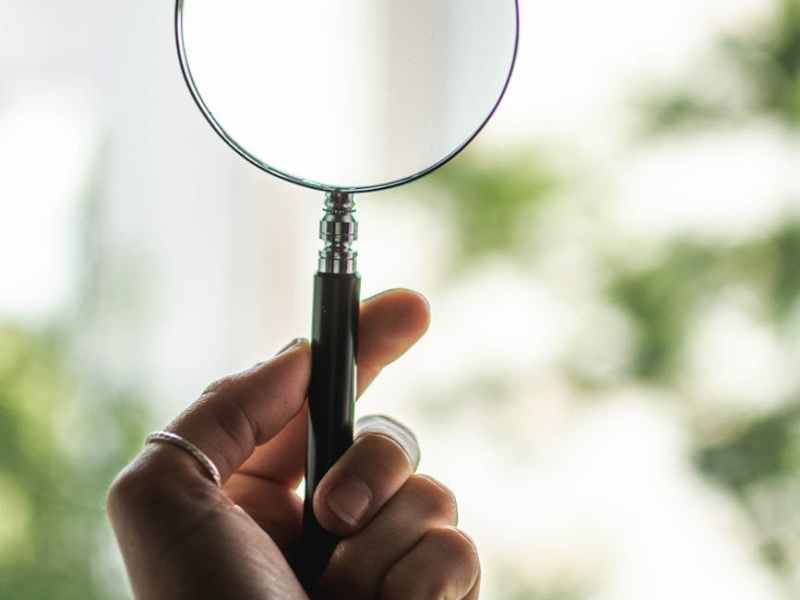 Verdachte van grootschalige illegale handel in vogels&nbsp;aangehouden