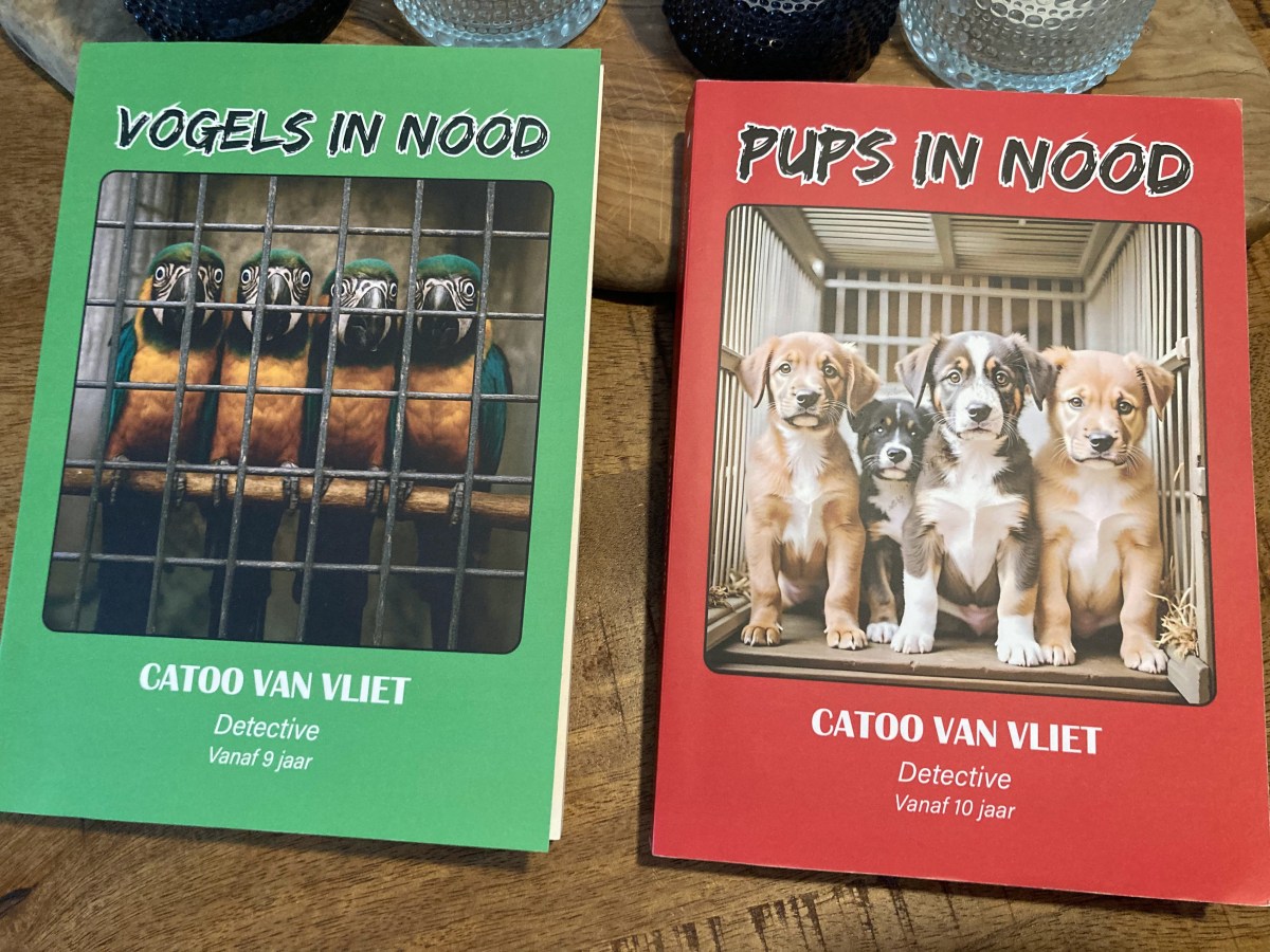 Drie schrijfjaren, twee boeken, een&nbsp;avontuur